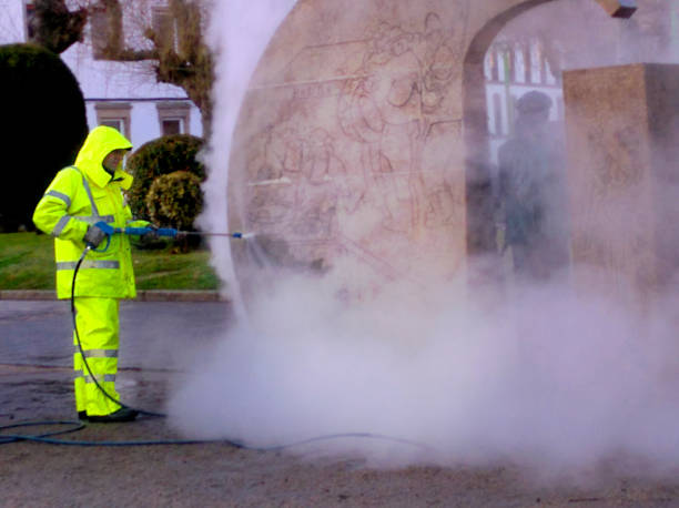 Best Garage Pressure Washing  in Elmhurst, IL